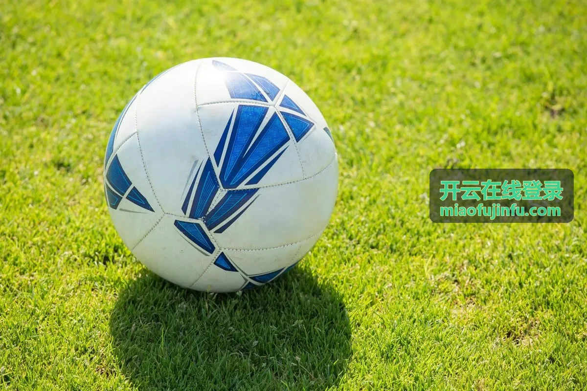 开云在线登录账号安全设置相关配图